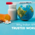 Why Indian APIs Are Trusted Worldwide